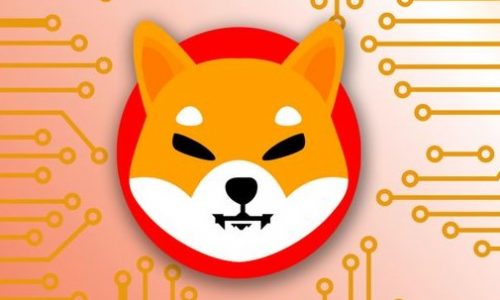 Is SHIBA INU Going To The Moon?